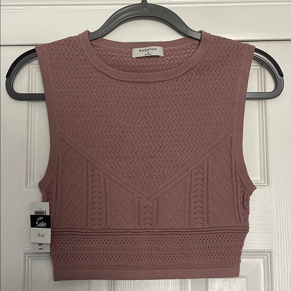 Aritizia Pink Ribbed Crop Tank Top